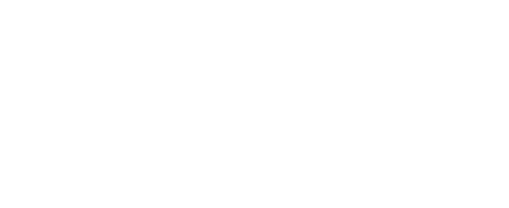 Valley Carriers Logo